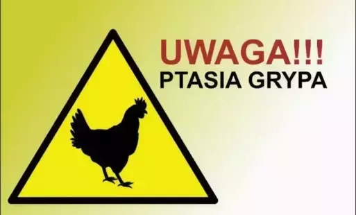 Zdjęcie do UWAGA - Kolejne ogniska ptasiej grypy