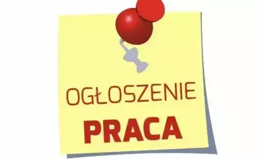 Zdjęcie do OFERTA PRACY