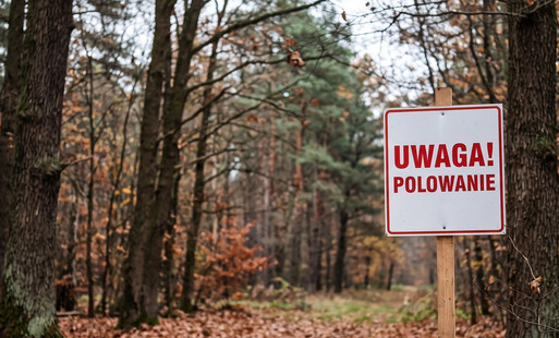 Zdjęcie do Harmonogram polowań zbiorowych w sezonie 2026/2027 